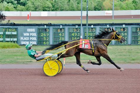 PA Harness .